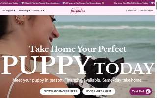 Forever Love Puppies Ft. Lauderdale website