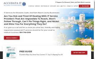Accudata IT website