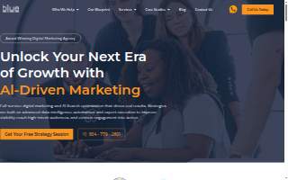 Blue Interactive Agency website