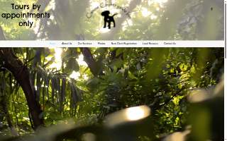 Canine Countryside Inn website