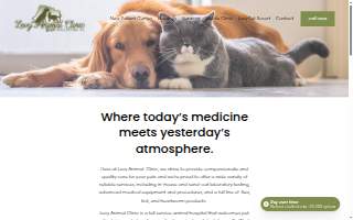 Levy Animal Clinic website