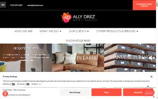 Ally Drez Web & IT Services of Cocoa Beach website