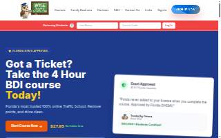 WiseTrafficSchool.com website
