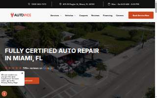 Auto Vice website