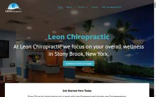 Leon Driving School ,Inc & Immigration Multi Services website