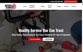 Accurate Plumbers of Florida Inc. website
