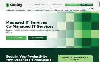 Cantey Tech Consulting - Fort Lauderdale Managed IT Services Company website