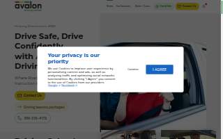 Avalon Driving School Orlando website