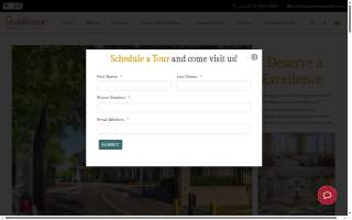 Excellence Senior Living website