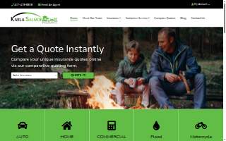 Karla Salmon Insurance website