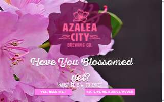 Azalea City Brewing Co. website