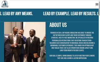 Any Means Consulting, Inc. website