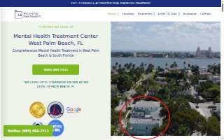 Holistic Mental Health website
