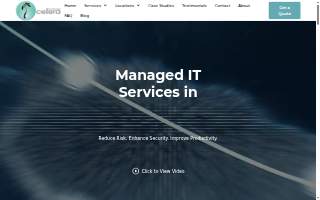 Celera IT Services website