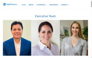 Tech IT Partners of Palm Valley website