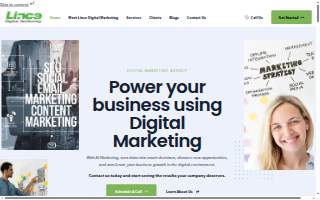 Lince Digital Marketing website