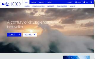 Cameron Financial Management website