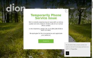 Dion Marketing Company website
