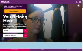 Excelsior Community Management website