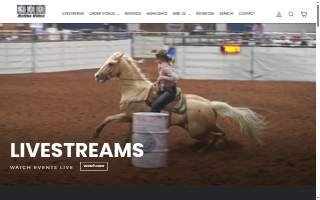 321 Video Productions website