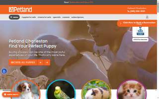 Pet Spa & Beyond website