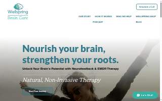 Wellspring Brain Care website