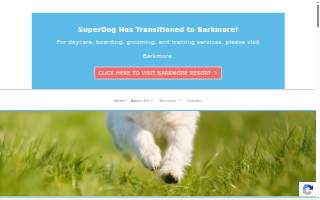 SuperDog Center website