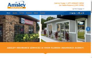 Amsley Insurance Services website