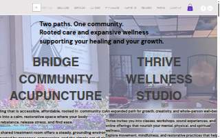 St Pete Community Acupuncture website