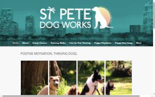 St. Pete Dog Works website