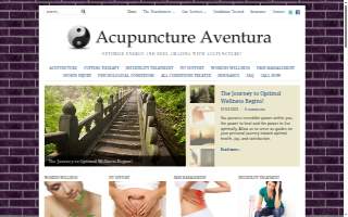 Acupuncture Aventura of Sunny Isles Beach website