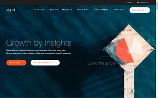 NEPA Security Solutions website