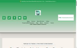 Tampa Bay Canine Retreat website