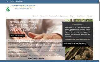 Anna Health Acupuncture & Chiropractic of Town 'n' Country website