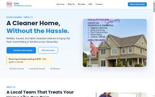 Lino Professional Cleaning Services website