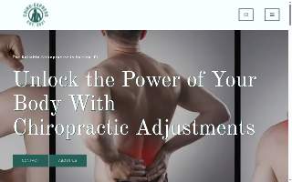 Chiro-Express website