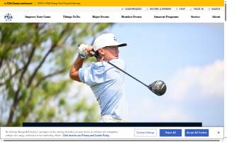 Your Golf Shop 2 website