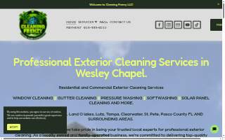 Cleaning Frenzy LLC - Full Exterior Cleaning Services website