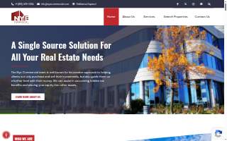 Nye Commercial Advisors website