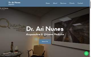 Ari Nunes Acupuncture website