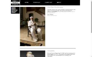 Terry & Terry Co. Property Management + Condo Rentals website