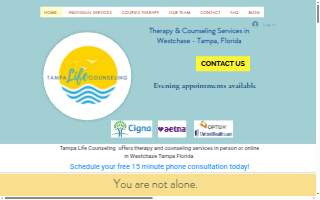 Tampa Life Counseling, LLC website