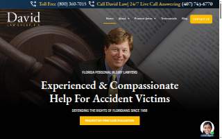 David Law Group, P.A. website