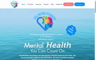 Still Waters Psychiatry of Winter Springs website