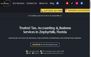 Henriquez Accounting & Tax Services LLC website