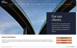 Snell Injury Law LLC website