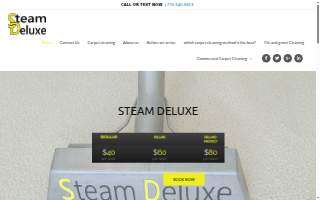 Steam Deluxe Carpet Cleaning of Alpharetta website