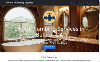 Buford Plumbing Experts website