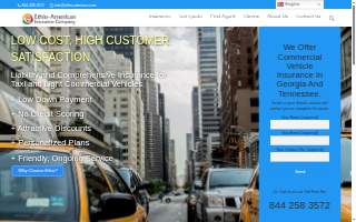 Ethio American Insurance website