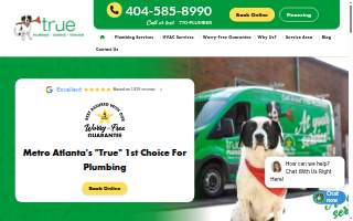 True Plumbing website
